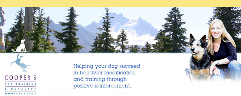 Cooper's Dog Training
