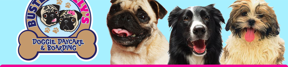 Buster & Lilly Logo